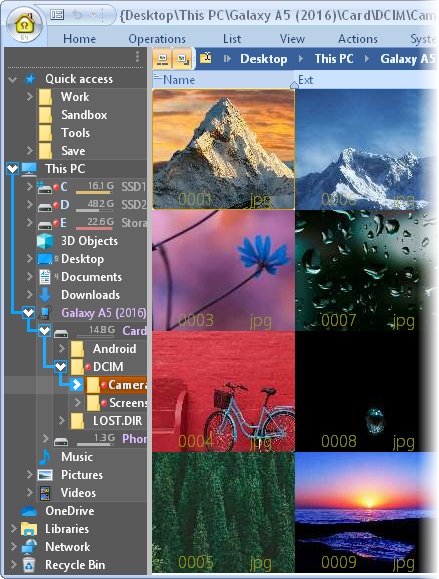 oMega Commander Features. Navigation pane. Tree.